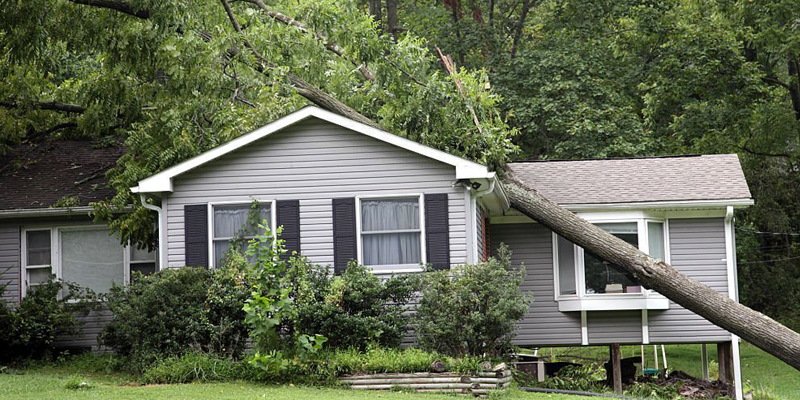 reputable storm damage repair company Hagerstown, MD