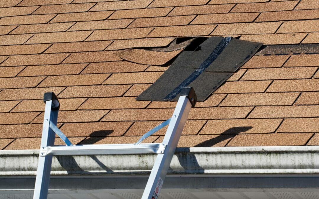 The Most Common Summer Roof Problems in Greencastle