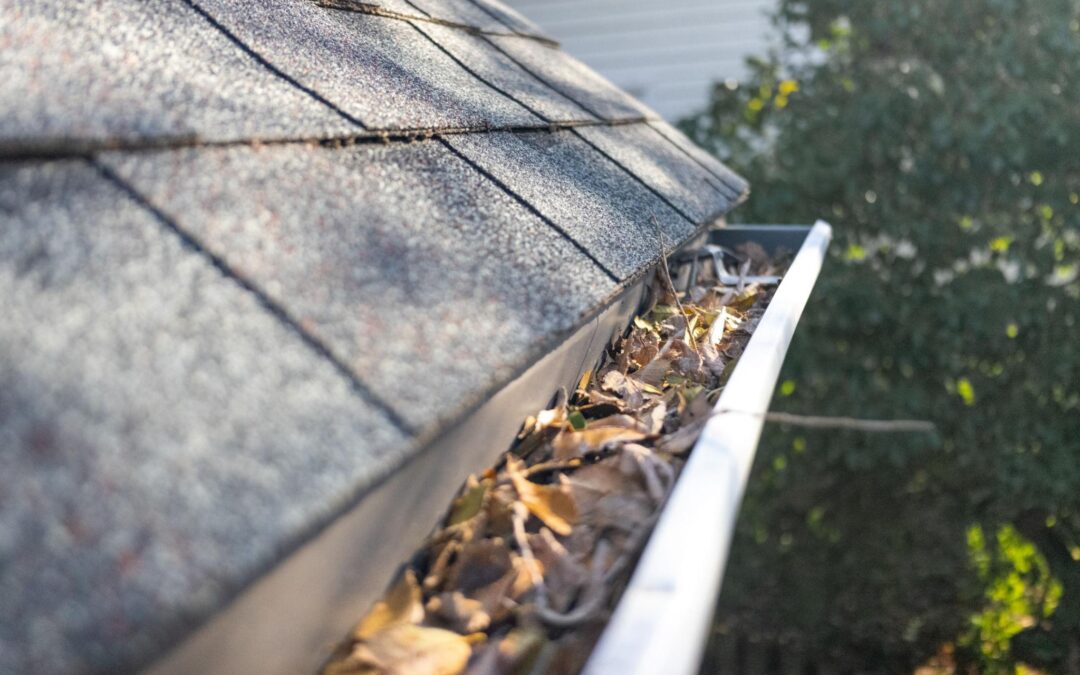 🏠 The Hidden Risks of Skipping Roof Maintenance in Greencastle