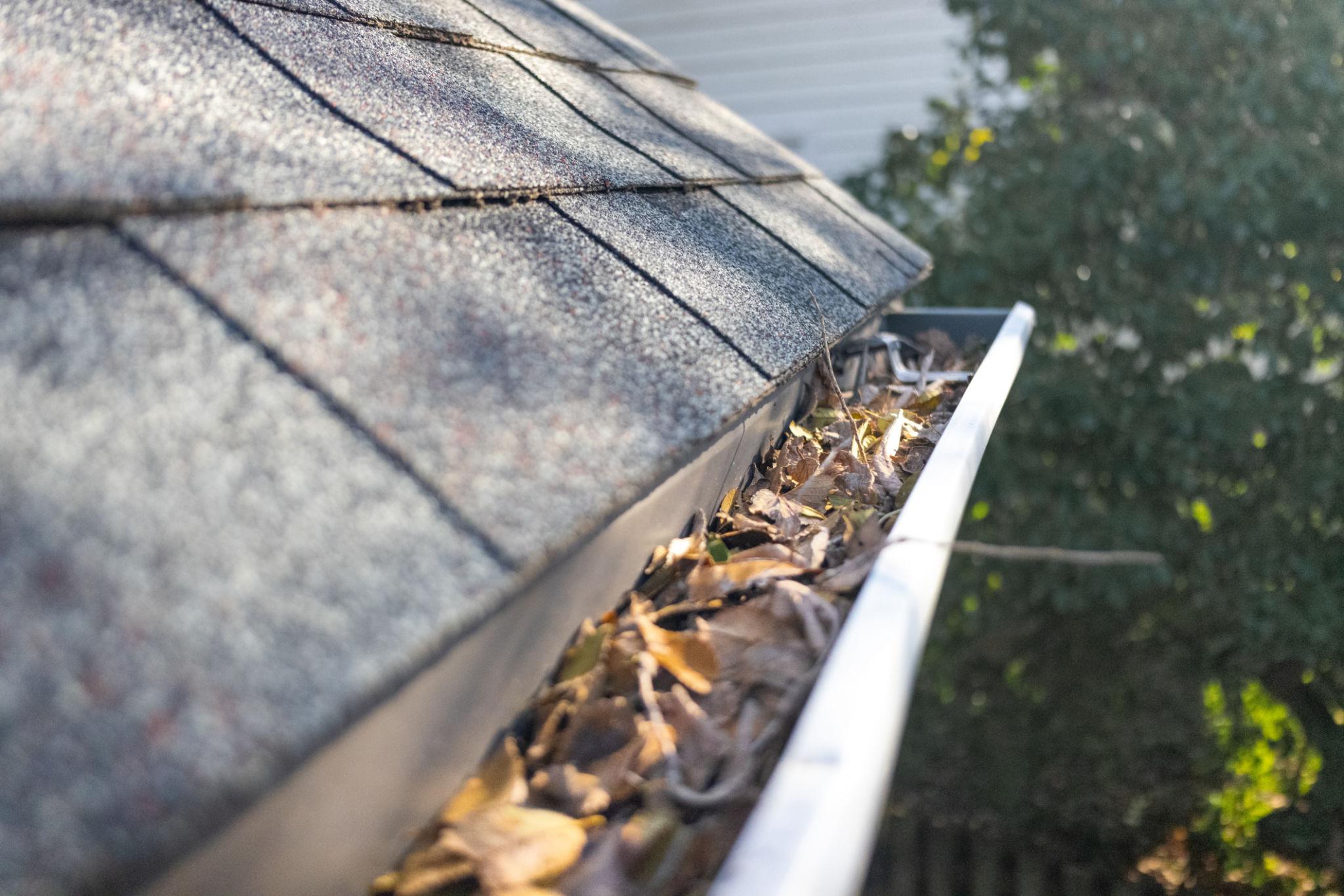 Happy Home Roofing Infographic Commercial Roof Repair