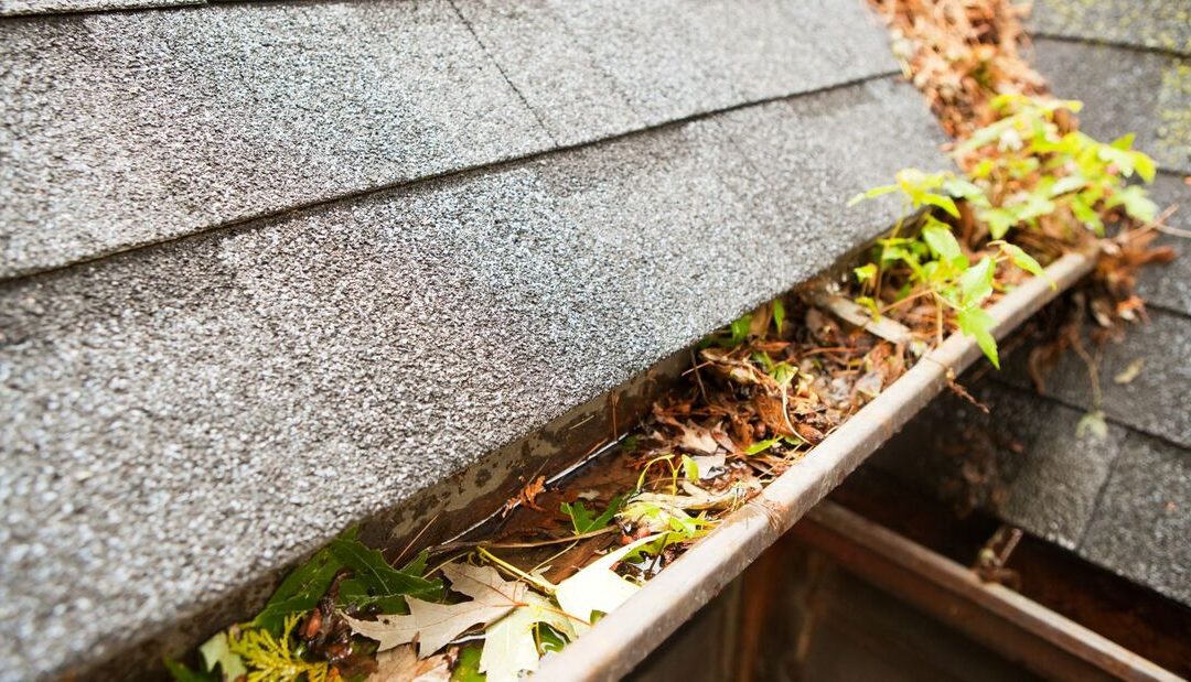 🏠 How Clogged Gutters Can Lead to Roof Damage in Falling Waters, WV